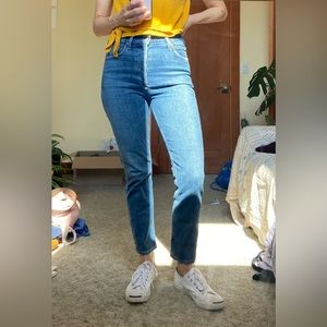 Agolde Nico High Rise Jeans